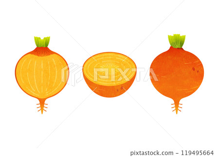 Yellow beets 119495664