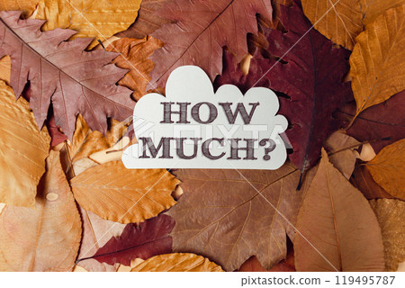 Pile of autumn leaves with the words How much written on top Pile of autumn leaves with the words How much written on top 119495787
