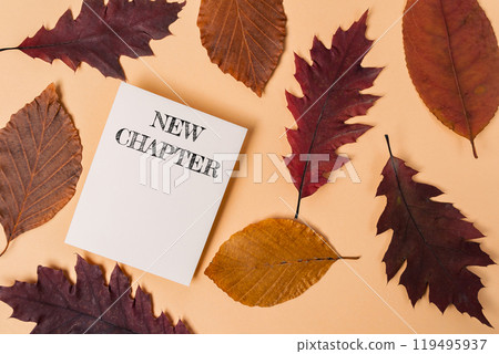 White piece of paper with the word New Chapter written on it is placed on top White piece of paper with the word New Chapter written on it is placed on top 119495937