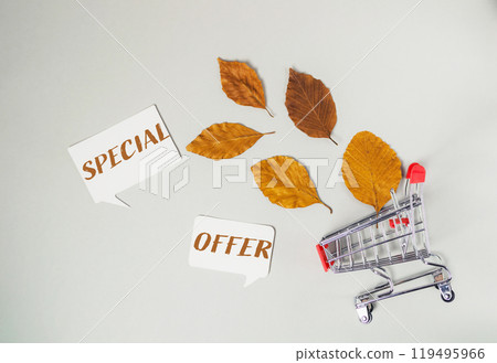 A carton of leaves with a sign that says Special Offer 119495966
