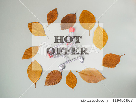 A shopping cart is surrounded by leaves A shopping cart is surrounded by leaves 119495968