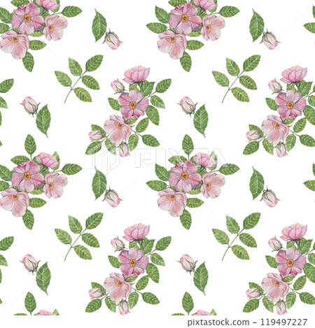 Rosa Canina flowers with pink petals, buds with lush green leaves. Seamless pattern. Watercolor hand painted clipart for fabric design, wrapping paper, or printable stationery for creative projects 119497227