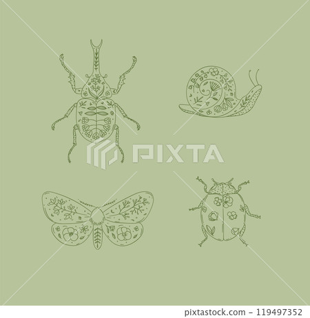 Beetles rhinoceros beetle, snail, moth, ladybug in floral style beige 119497352