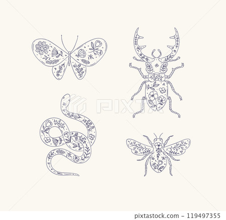 Beetles stag beetle, snake, moth, insect in floral style light Beetles stag beetle, snake, moth, insect in floral style light 119497355