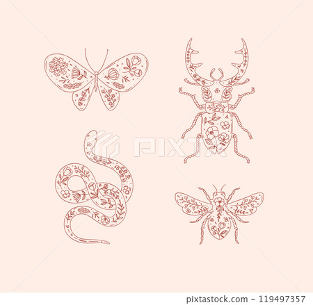 Beetles stag beetle, snake, moth, insect in floral style pink Beetles stag beetle, snake, moth, insect in floral style pink 119497357