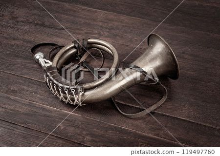 Hunting horn on rustic wood plank. Hunting horn on rustic wood plank. 119497760