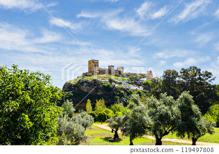 Views from the Parque de la Retama of the castle of Alcala de Guadaira in Seville, in blue sky and white clouds Views from the Parque de la Retama of the castle of Alcala de Guadaira in Seville, in blue sky and white clouds 119497808
