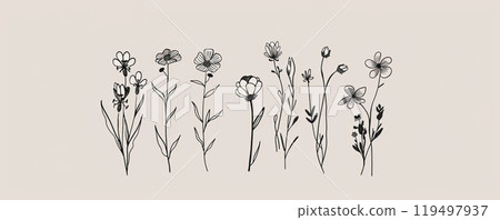 A collection of handdrawn flowers and leaves on a beige backdrop 119497937