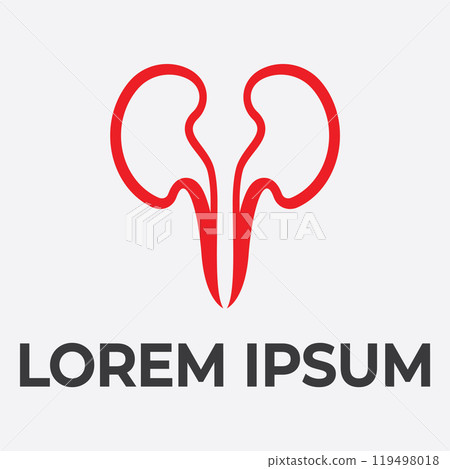 kidney vector illusrtation 119498018