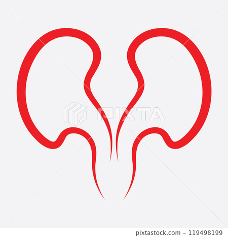 Kidney icon vector. 119498199