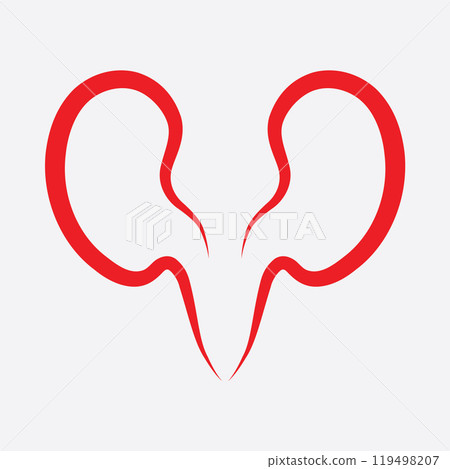 Kidney icon vector. 119498207