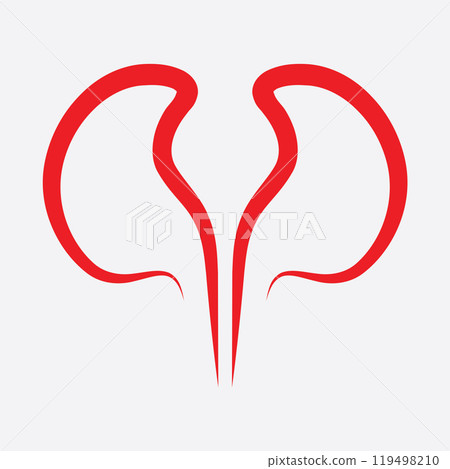 Kidney icon vector. 119498210