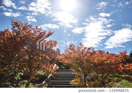 Oodaigahara in autumn 1 119498635