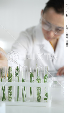 Woman scientist wearing a lab coat, is dripping liquid from a pipette into a test tube with a green plant inside, vertical close up view. Science and medicine concepts Woman scientist wearing a lab coat, is dripping liquid from a pipette into a test tube with a green plant inside, vertical close up view. Science and medicine concepts 119499082