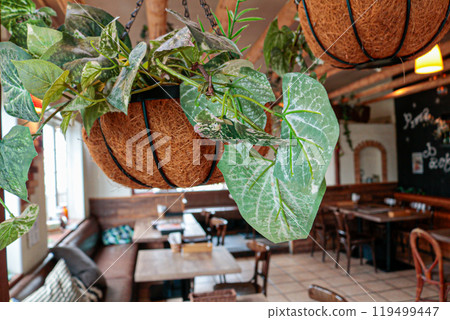 Stylish cafe 119499447