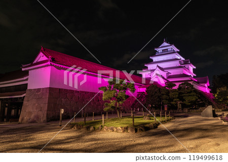 Tsuruga Castle lit up in pink Tsuruga Castle lit up in pink 119499618