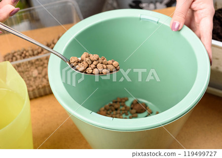 Pour expanded clay into a flower pot before replanting the plant. 119499727
