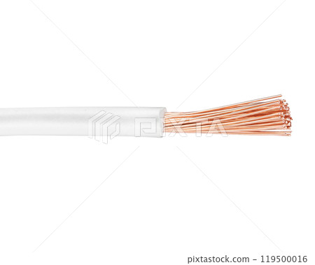 Cut section of stranded copper wire Cut section of stranded copper wire 119500016