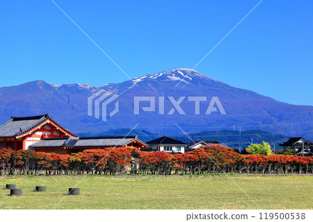 Remains of Jorawa Fortress (presumed location of Dewa Kokufu) Autumn foliage at the foot of Mt. Chokai 119500538