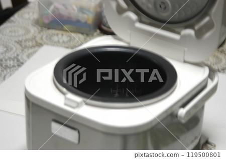 rice cooker 119500801