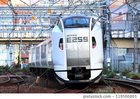 [JR East] E259 Series Limited Express "Narita Express" (Yamanote Freight Line: Ebisu - Osaki) 119500803