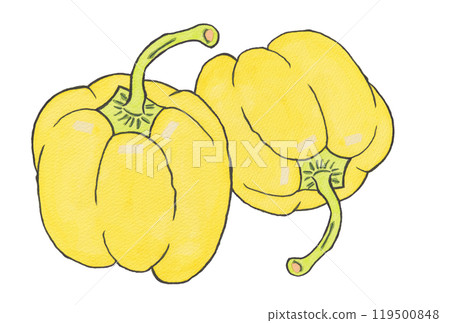 手繪水彩畫兩幅（圖畫字母）《黃辣椒》 119500848