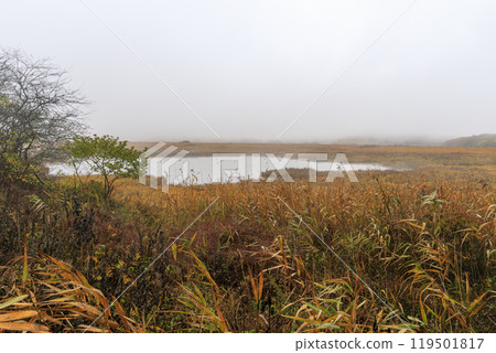 Yashimagahara Marsh Kirigamine Suwa Nagano Prefecture Yashimagahara Marsh Kirigamine Suwa Nagano Prefecture 119501817