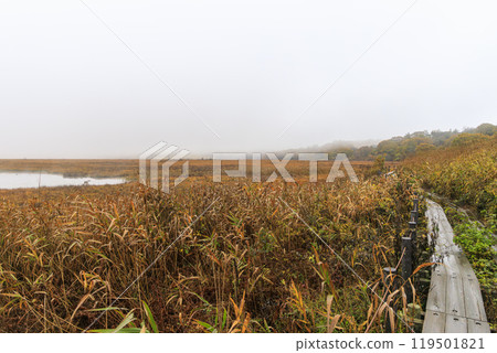 Yashimagahara Marsh Kirigamine Suwa Nagano Prefecture 119501821