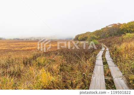 Yashimagahara Marsh Kirigamine Suwa Nagano Prefecture 119501822