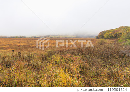 Yashimagahara Marsh Kirigamine Suwa Nagano Prefecture Yashimagahara Marsh Kirigamine Suwa Nagano Prefecture 119501824