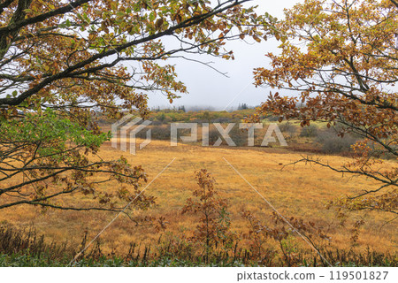 Yashimagahara Marsh Kirigamine Suwa Nagano Prefecture Yashimagahara Marsh Kirigamine Suwa Nagano Prefecture 119501827