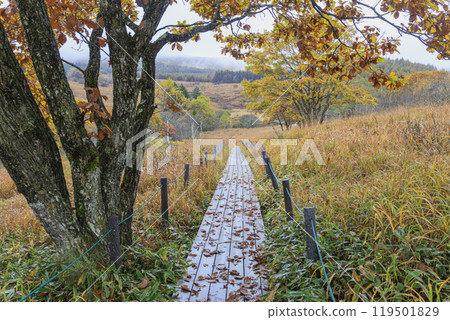 Yashimagahara Marsh Kirigamine Suwa Nagano Prefecture Yashimagahara Marsh Kirigamine Suwa Nagano Prefecture 119501829