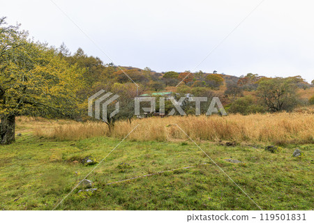 Yashimagahara Marsh Kirigamine Suwa Nagano Prefecture Yashimagahara Marsh Kirigamine Suwa Nagano Prefecture 119501831