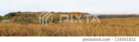 Yashimagahara Marsh Kirigamine Suwa Nagano Prefecture Yashimagahara Marsh Kirigamine Suwa Nagano Prefecture 119501832