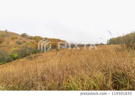Yashimagahara Marsh Kirigamine Suwa Nagano Prefecture 119501835