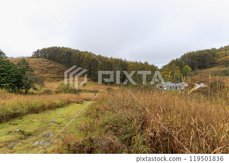 Yashimagahara Marsh Kirigamine Suwa Nagano Prefecture Yashimagahara Marsh Kirigamine Suwa Nagano Prefecture 119501836