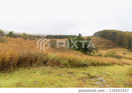 Yashimagahara Marsh Kirigamine Suwa Nagano Prefecture 119501837