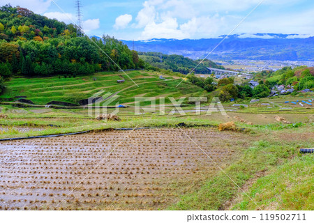 Scenery with rice terraces Scenery with rice terraces 119502711