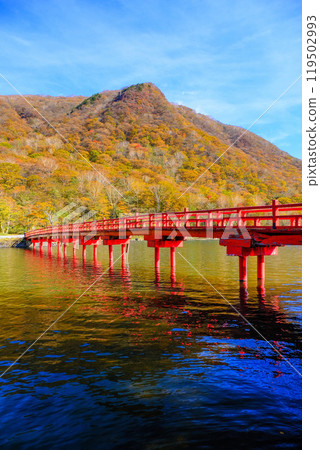 秋葉中的大沼和拓樸通橋（垂直） 119502993