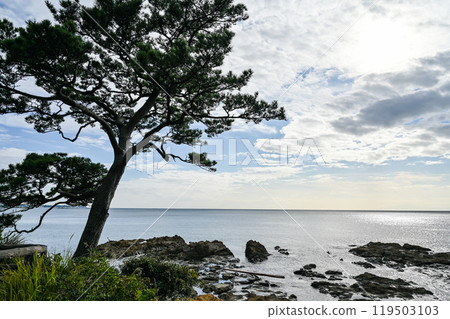 Tateishi Park in Yokosuka, Kanagawa Prefecture 119503103