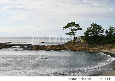 神奈川縣橫須賀市立石公園 119503112