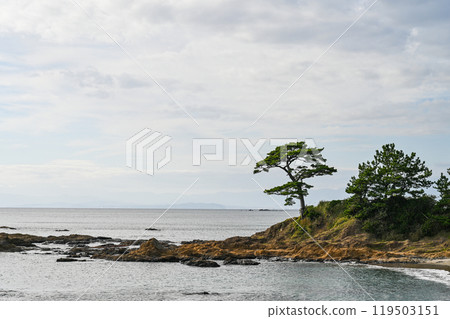 Tateishi Park in Yokosuka, Kanagawa Prefecture 119503151