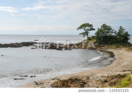 Tateishi Park in Yokosuka, Kanagawa Prefecture Tateishi Park in Yokosuka, Kanagawa Prefecture 119503185