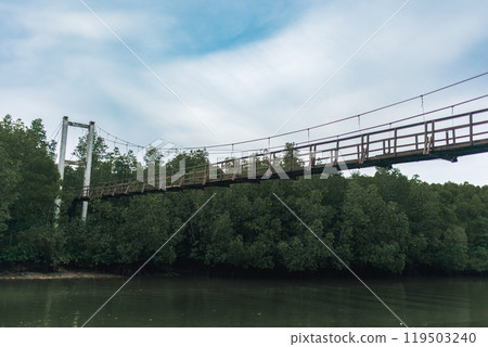 Hanging bridge crossing the river between mangrove forest. Hanging bridge crossing the river between mangrove forest. 119503240