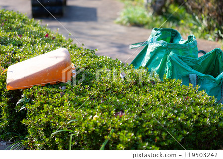 Caring for trees in the park 119503242