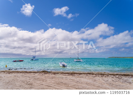 Serene Beach Scene at Ile aux Cerfs, Mauritius. Serene Beach Scene at Ile aux Cerfs, Mauritius. 119503716