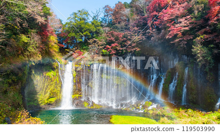 Shiraito Falls (Autumn) [Fujinomiya City] 119503990