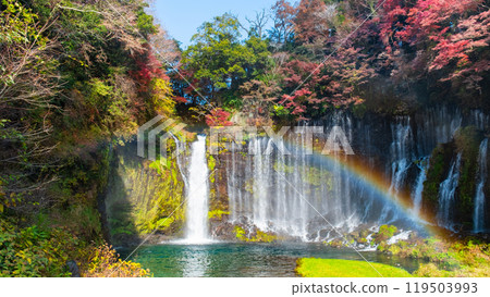 Shiraito Falls (Autumn) [Fujinomiya City] 119503993