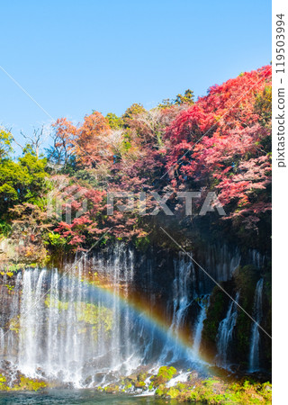 白絲瀑布（秋季）[富士宮市] 119503994