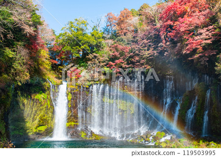 Shiraito Falls (Autumn) [Fujinomiya City] 119503995